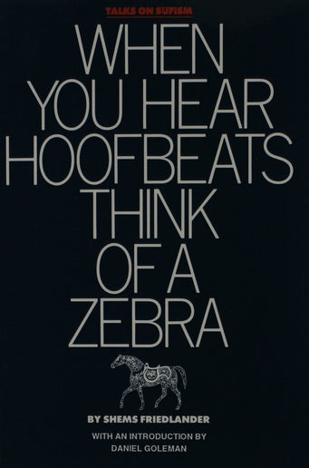When You Hear Hoofbeats Think of a Zebra by Shems Friedlander (Author)