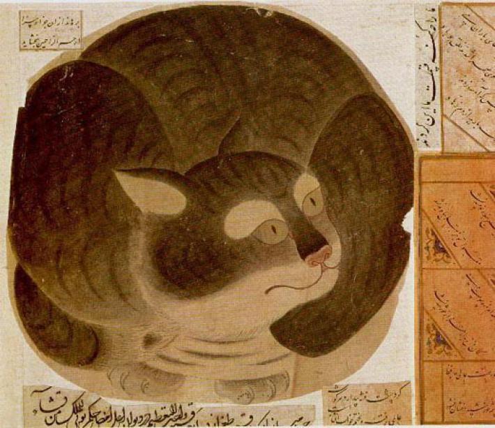 Abu Amir al-Fadl ibn Ismail al Tamimi al Jurjani: I have a cat