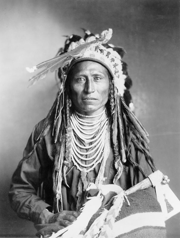 Chief Luther Standing Bear: Kinship with all creatures of the earth