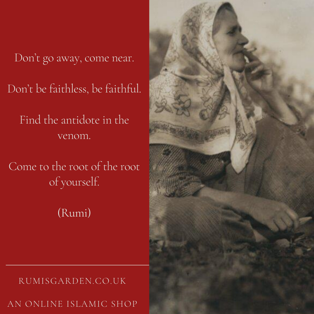 Rumi: Don’t go away, come near