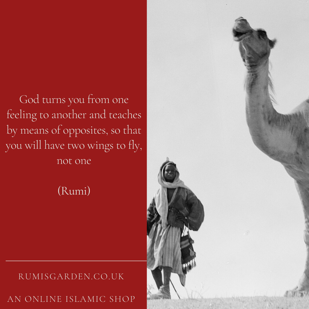 Rumi: God turns you from one